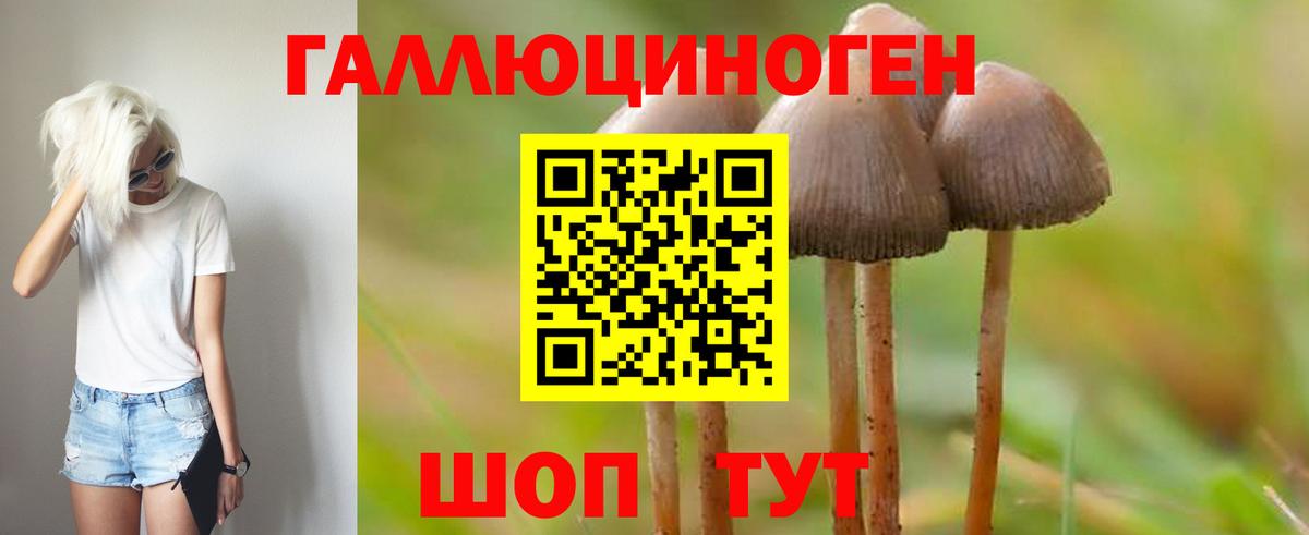 Псилоцибиновые грибы MAGIC MUSHROOMS  Вход с VPN  Сарапул  Галлюциногенные грибы мухоморы 